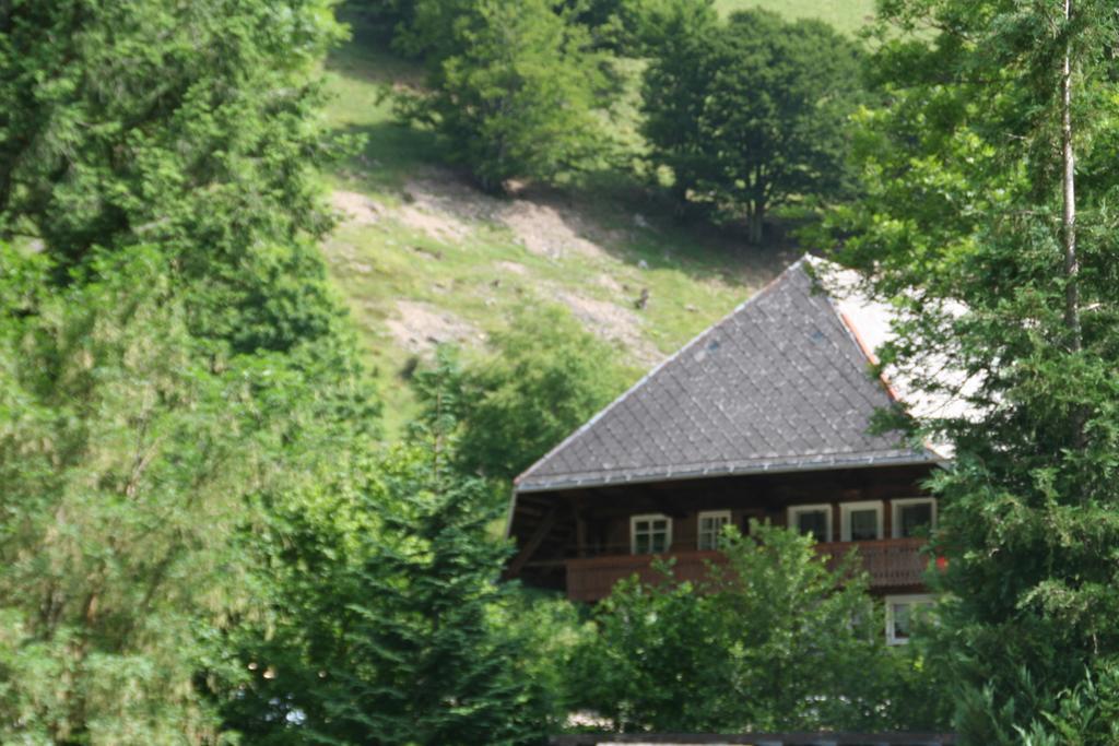 Hotel Gasthaus Hirschen Im Hochschwarzwald Todtnau Nahe Feldberg Exteriér fotografie