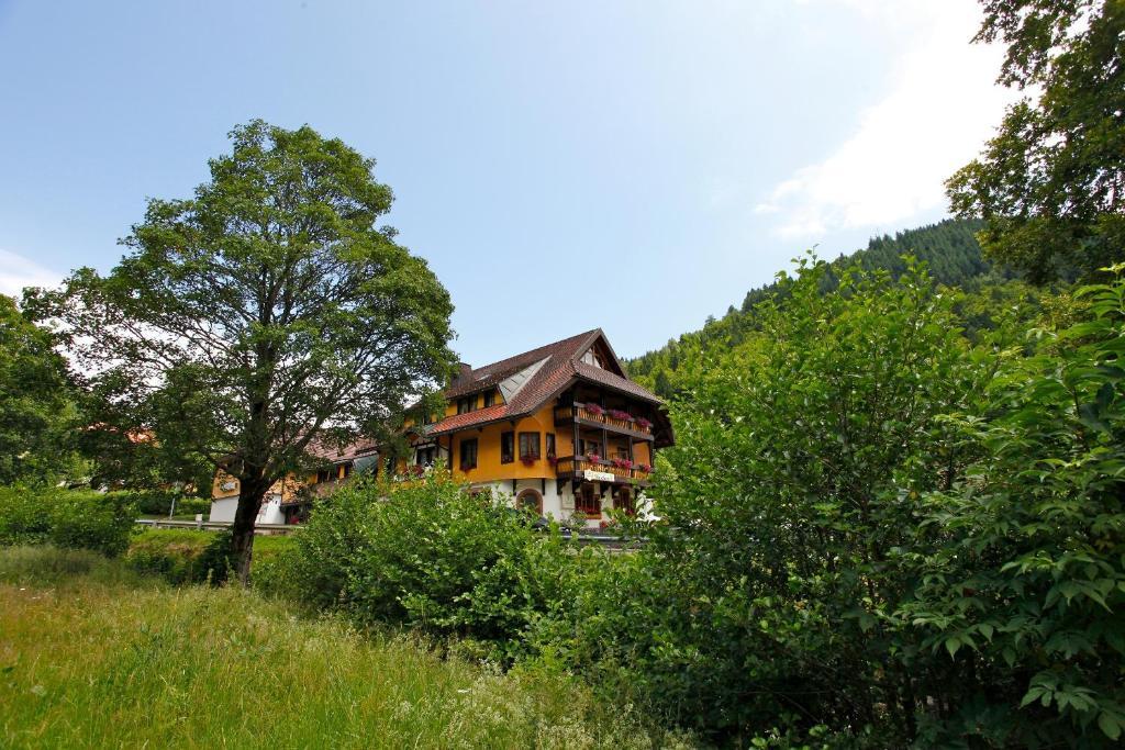 Hotel Gasthaus Hirschen Im Hochschwarzwald Todtnau Nahe Feldberg Exteriér fotografie